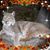 Ellen Paul Cecil's profile image