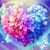 Stephanie Mills Molsbee's profile image