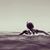 Stephanie Gwin's profile image