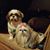Connie Gaskin's profile image