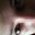 Regina Myers's profile image