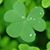 Jerri Mccurry-Ehrlich's profile image