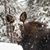 Sheri Bunce Weichers's profile image