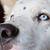 Cindy Cartolano-Tallent's profile image