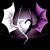 Richard Paulini Jr.'s profile image