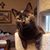 Debbie M. Dodd's profile image