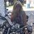 Cynthia Gilsinger's profile image