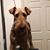 Mary Griffith Sorensen's profile image
