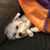 Stephanie Walden Bagwell's profile image