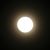 Kathleen M Webb's profile image