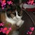 Sue Jones's profile image