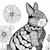 Laura Brautigam's profile image