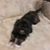 Melanie Quick's profile image