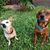 Grace Reckers's profile image