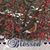 Judy Ahlman Wetterstrom's profile image