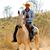 Victor Moraes's profile image