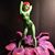 Olive Francis's profile image