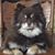 Stephanie Brown Kaltenbacher's profile image