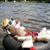Louise A Wisinski's profile image