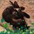 Janet Hoffman's profile image