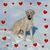 Cristin Cilano Wheat's profile image