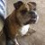 Darlene Cavey Feyerherd's profile image