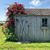 Rhonda Marie Wight's profile image