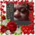 Donell Walker's profile image