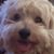 Lorri Mozo's profile image