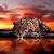 Dawn Schmitz's profile image