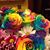 Rande Paquin-Stanton's profile image
