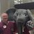 David S Brown's profile image