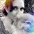 Tanya Love's profile image