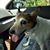 Pamela Dill Maxwell's profile image