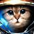 Jodie Bass's profile image