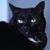 Marilyn Mee's profile image