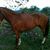 Pelos Gonzalez Villagomez's profile image