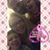 Tiffany Marie Mason's profile image
