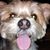 Terrie Kroussakis's profile image