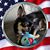 Eddie Henry's profile image