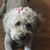 Jo Lynne Varner's profile image