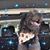 Ann Padelford Benson's profile image