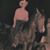 Jackie Faulkner's profile image