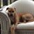 Rebecca Leveille's profile image