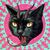 Tim Vrchota's profile image