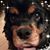 Ashlee Squires's profile image