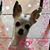Judy Meador's profile image