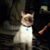 Shauna Enoch's profile image