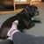 Julie Hickey Aldrich's profile image