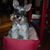 Heidi K. Mugler Wood's profile image